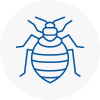 Bed Bug Extermination In Allerdale